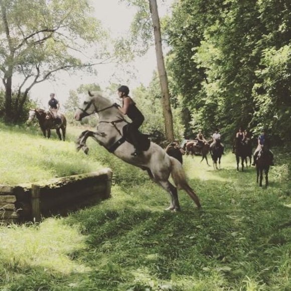 Meet your Posher, Andrea - Picture 1 of 1